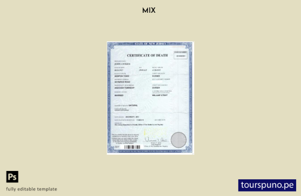 listo para imprimir plantilla de certificado de defunción del Departamento de  1